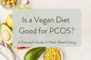 Vegan Diet for PCOS: Benefits & How-To Guide Safem Fabrication - Precision Engineering & Custom Manufacturing Solutions Vegan Diet for PCOS: Benefits & How-To Guide | Safem Fabrication - Precision Engineering & Custom Manufacturing Solutions