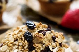 Fuel Up! Best Vegan Protein Muffins Recipes & Tips Safem Fabrication - Precision Engineering & Custom Manufacturing Solutions Fuel Up! Best Vegan Protein Muffins Recipes & Tips | Safem Fabrication - Precision Engineering & Custom Manufacturing Solutions