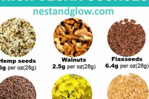 Plant-Based Power: DHA Vegan Diet Guide & Benefits Safem Fabrication - Precision Engineering & Custom Manufacturing Solutions Plant-Based Power: DHA Vegan Diet Guide & Benefits | Safem Fabrication - Precision Engineering & Custom Manufacturing Solutions
