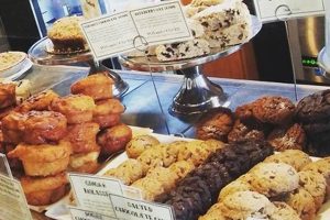Best Vegan Bakery Seattle: Treats & Sweets! Safem Fabrication - Precision Engineering & Custom Manufacturing Solutions Best Vegan Bakery Seattle: Treats & Sweets! | Safem Fabrication - Precision Engineering & Custom Manufacturing Solutions