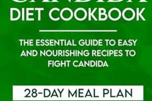 The Ultimate Vegan Candida Diet Guide: Recipes & Tips Safem Fabrication - Precision Engineering & Custom Manufacturing Solutions The Ultimate Vegan Candida Diet Guide: Recipes & Tips | Safem Fabrication - Precision Engineering & Custom Manufacturing Solutions