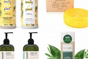 Best Vegan Shampoo: Plant-Powered Hair Care Now! Safem Fabrication - Precision Engineering & Custom Manufacturing Solutions Best Vegan Shampoo: Plant-Powered Hair Care Now! | Safem Fabrication - Precision Engineering & Custom Manufacturing Solutions