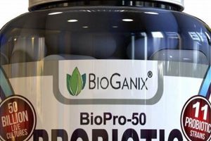 Top-Rated Best Vegan Probiotics: For Gut Health! Safem Fabrication - Precision Engineering & Custom Manufacturing Solutions Top-Rated Best Vegan Probiotics: For Gut Health! | Safem Fabrication - Precision Engineering & Custom Manufacturing Solutions