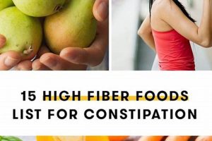 Vegan Diet Constipation: Relief + Prevention Tips Safem Fabrication - Precision Engineering & Custom Manufacturing Solutions Vegan Diet Constipation: Relief + Prevention Tips | Safem Fabrication - Precision Engineering & Custom Manufacturing Solutions