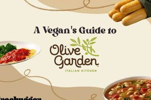 Your Guide to an Olive Garden Vegan Menu (Tips & Tricks) Safem Fabrication - Precision Engineering & Custom Manufacturing Solutions Your Guide to an Olive Garden Vegan Menu (Tips & Tricks) | Safem Fabrication - Precision Engineering & Custom Manufacturing Solutions