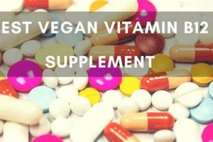 Top-Rated: Best Vegan B12 Supplement Guide & Reviews! Safem Fabrication - Precision Engineering & Custom Manufacturing Solutions Top-Rated: Best Vegan B12 Supplement Guide & Reviews! | Safem Fabrication - Precision Engineering & Custom Manufacturing Solutions