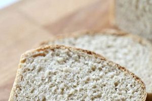 Easy Vegan Sourdough Bread: The Perfect Loaf Recipe Safem Fabrication - Precision Engineering & Custom Manufacturing Solutions Easy Vegan Sourdough Bread: The Perfect Loaf Recipe | Safem Fabrication - Precision Engineering & Custom Manufacturing Solutions