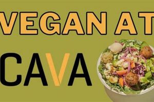 Explore the Cava Vegan Menu: Delicious & Healthy Options Safem Fabrication - Precision Engineering & Custom Manufacturing Solutions Explore the Cava Vegan Menu: Delicious & Healthy Options | Safem Fabrication - Precision Engineering & Custom Manufacturing Solutions