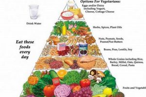 Vegan Diet Pyramid Guide: Build Your Plate Right! Safem Fabrication - Precision Engineering & Custom Manufacturing Solutions Vegan Diet Pyramid Guide: Build Your Plate Right! | Safem Fabrication - Precision Engineering & Custom Manufacturing Solutions