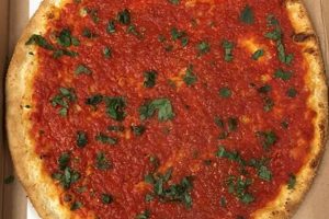 The Best Vegan New York Pizza: Your Ultimate Guide! Safem Fabrication - Precision Engineering & Custom Manufacturing Solutions The Best Vegan New York Pizza: Your Ultimate Guide! | Safem Fabrication - Precision Engineering & Custom Manufacturing Solutions