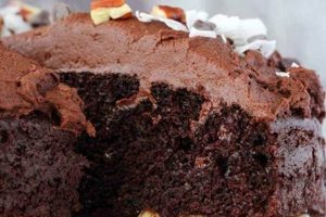 Decadent Vegan German Chocolate Cake: A Classic Twist Safem Fabrication - Precision Engineering & Custom Manufacturing Solutions Decadent Vegan German Chocolate Cake: A Classic Twist | Safem Fabrication - Precision Engineering & Custom Manufacturing Solutions