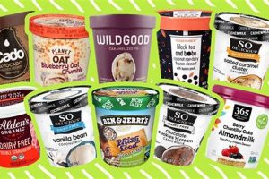 Top Vegan Ice Cream Brands: Delicious & Dairy-Free Safem Fabrication - Precision Engineering & Custom Manufacturing Solutions Top Vegan Ice Cream Brands: Delicious & Dairy-Free | Safem Fabrication - Precision Engineering & Custom Manufacturing Solutions
