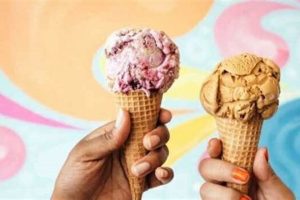 Seattle's Coolest Vegan Ice Cream Scene: Guide & More Safem Fabrication - Precision Engineering & Custom Manufacturing Solutions Seattle's Coolest Vegan Ice Cream Scene: Guide & More | Safem Fabrication - Precision Engineering & Custom Manufacturing Solutions