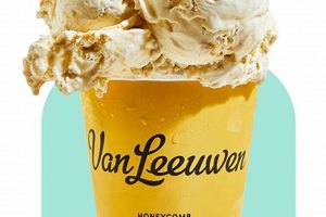 Indulge: Van Leeuwen Vegan Ice Cream - Creamy & Guilt-Free! Safem Fabrication - Precision Engineering & Custom Manufacturing Solutions Indulge: Van Leeuwen Vegan Ice Cream - Creamy & Guilt-Free! | Safem Fabrication - Precision Engineering & Custom Manufacturing Solutions