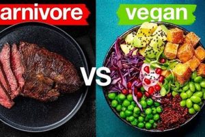 Plant-Based vs Carnivore: The Ultimate Diet Showdown Safem Fabrication - Precision Engineering & Custom Manufacturing Solutions Plant-Based vs Carnivore: The Ultimate Diet Showdown | Safem Fabrication - Precision Engineering & Custom Manufacturing Solutions