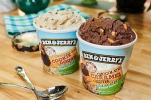 The Best Vegan Ice Cream Brands: Sweet & Dairy-Free! Safem Fabrication - Precision Engineering & Custom Manufacturing Solutions The Best Vegan Ice Cream Brands: Sweet & Dairy-Free! | Safem Fabrication - Precision Engineering & Custom Manufacturing Solutions