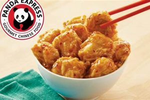 Is Panda Express Vegan Orange Chicken Real? (Plus Recipe) Safem Fabrication - Precision Engineering & Custom Manufacturing Solutions Is Panda Express Vegan Orange Chicken Real? (Plus Recipe) | Safem Fabrication - Precision Engineering & Custom Manufacturing Solutions