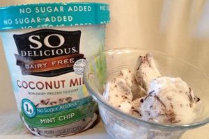The Best Vegan Sugar Free Ice Cream: Guilt-Free Treats! Safem Fabrication - Precision Engineering & Custom Manufacturing Solutions The Best Vegan Sugar Free Ice Cream: Guilt-Free Treats! | Safem Fabrication - Precision Engineering & Custom Manufacturing Solutions