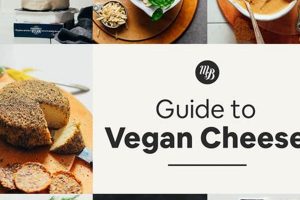 Beyond Cheese: Best Vegan Cheese Alternatives You Need! Safem Fabrication - Precision Engineering & Custom Manufacturing Solutions Beyond Cheese: Best Vegan Cheese Alternatives You Need! | Safem Fabrication - Precision Engineering & Custom Manufacturing Solutions