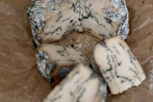 Discover Vegan Blue Cheese: The Dairy-Free Delight Safem Fabrication - Precision Engineering & Custom Manufacturing Solutions Discover Vegan Blue Cheese: The Dairy-Free Delight | Safem Fabrication - Precision Engineering & Custom Manufacturing Solutions