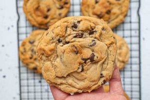 Best Vegan Crumbl Cookies Recipe: Plant-Based Delights Safem Fabrication - Precision Engineering & Custom Manufacturing Solutions Best Vegan Crumbl Cookies Recipe: Plant-Based Delights | Safem Fabrication - Precision Engineering & Custom Manufacturing Solutions