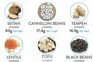 Best Be Amazing Vegan Protein: Fuel Your Body! Safem Fabrication - Precision Engineering & Custom Manufacturing Solutions Best Be Amazing Vegan Protein: Fuel Your Body! | Safem Fabrication - Precision Engineering & Custom Manufacturing Solutions