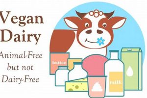 Guide: Is Vegan Dairy Free? Benefits & Alternatives Safem Fabrication - Precision Engineering & Custom Manufacturing Solutions Guide: Is Vegan Dairy Free? Benefits & Alternatives | Safem Fabrication - Precision Engineering & Custom Manufacturing Solutions