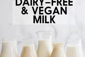 Is Vegan Always Dairy-Free? Vegan Diet & Dairy Safem Fabrication - Precision Engineering & Custom Manufacturing Solutions Is Vegan Always Dairy-Free? Vegan Diet & Dairy | Safem Fabrication - Precision Engineering & Custom Manufacturing Solutions