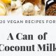 Easy Coconut Milk Vegan Recipes: Delicious &amp; Simple | Discover Delicious Vegan Food, Beauty Swaps, and Zero-Waste Tips for a Greener Life