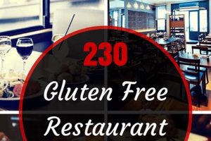 Find Vegan Gluten-Free Restaurants Near You + Tips Safem Fabrication - Precision Engineering & Custom Manufacturing Solutions Find Vegan Gluten-Free Restaurants Near You + Tips | Safem Fabrication - Precision Engineering & Custom Manufacturing Solutions