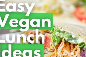Quick Vegan Lunch Options: Easy & Delicious! Safem Fabrication - Precision Engineering & Custom Manufacturing Solutions Quick Vegan Lunch Options: Easy & Delicious! | Safem Fabrication - Precision Engineering & Custom Manufacturing Solutions