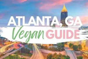 Top Best Vegan Restaurants in Atlanta, GA - Guide Safem Fabrication - Precision Engineering & Custom Manufacturing Solutions Top Best Vegan Restaurants in Atlanta, GA - Guide | Safem Fabrication - Precision Engineering & Custom Manufacturing Solutions