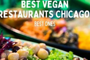 The Top Best Vegan Restaurants Chicago Guide 2024 Safem Fabrication - Precision Engineering & Custom Manufacturing Solutions The Top Best Vegan Restaurants Chicago Guide 2024 | Safem Fabrication - Precision Engineering & Custom Manufacturing Solutions