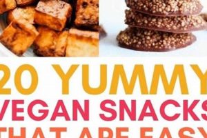 Top-Rated Best Vegan Snacks for a Healthy Life! Safem Fabrication - Precision Engineering & Custom Manufacturing Solutions Top-Rated Best Vegan Snacks for a Healthy Life! | Safem Fabrication - Precision Engineering & Custom Manufacturing Solutions