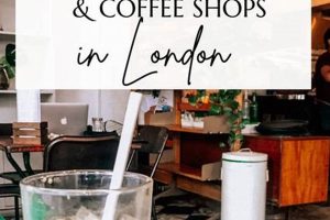 Find: Vegan Coffee Shop Near Me (Delicious!) Safem Fabrication - Precision Engineering & Custom Manufacturing Solutions Find: Vegan Coffee Shop Near Me (Delicious!) | Safem Fabrication - Precision Engineering & Custom Manufacturing Solutions