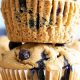 Easy Gluten-Free Vegan Blueberry Muffins: Delicious & Free! | Discover Delicious Vegan Food, Beauty Swaps, and Zero-Waste Tips for a Greener Life