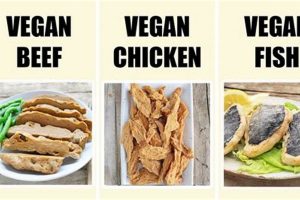The Future of Vegan Meat: Taste, Health & Sustainability Safem Fabrication - Precision Engineering & Custom Manufacturing Solutions The Future of Vegan Meat: Taste, Health & Sustainability | Safem Fabrication - Precision Engineering & Custom Manufacturing Solutions