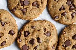 Easy Vegan Peanut Butter Chocolate Chip Cookies (So Good!) Safem Fabrication - Precision Engineering & Custom Manufacturing Solutions Easy Vegan Peanut Butter Chocolate Chip Cookies (So Good!) | Safem Fabrication - Precision Engineering & Custom Manufacturing Solutions