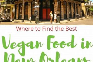Guide to Vegan Restaurants in New Orleans Today Safem Fabrication - Precision Engineering & Custom Manufacturing Solutions Guide to Vegan Restaurants in New Orleans Today | Safem Fabrication - Precision Engineering & Custom Manufacturing Solutions