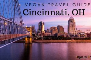 Best Vegan Restaurants in Cincinnati: Find Local Gems! Safem Fabrication - Precision Engineering & Custom Manufacturing Solutions Best Vegan Restaurants in Cincinnati: Find Local Gems! | Safem Fabrication - Precision Engineering & Custom Manufacturing Solutions