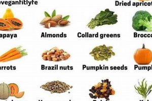 Is Vegan Diet Causing Hair Loss? Tips & Solutions Safem Fabrication - Precision Engineering & Custom Manufacturing Solutions Is Vegan Diet Causing Hair Loss? Tips & Solutions | Safem Fabrication - Precision Engineering & Custom Manufacturing Solutions