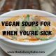 Best Vegan Soup for Sickness: Recipes & Tips | Discover Delicious Vegan Food, Beauty Swaps, and Zero-Waste Tips for a Greener Life