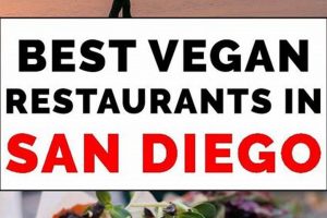 Top-Rated: Best Vegan San Diego Restaurants & More! Safem Fabrication - Precision Engineering & Custom Manufacturing Solutions Top-Rated: Best Vegan San Diego Restaurants & More! | Safem Fabrication - Precision Engineering & Custom Manufacturing Solutions