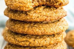 Best Vegan Peanut Butter Oatmeal Cookies Recipe Safem Fabrication - Precision Engineering & Custom Manufacturing Solutions Best Vegan Peanut Butter Oatmeal Cookies Recipe | Safem Fabrication - Precision Engineering & Custom Manufacturing Solutions