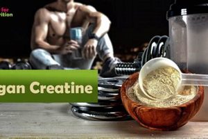 Fuel Your Gains: Vegan Creatine for Plant-Powered Strength Safem Fabrication - Precision Engineering & Custom Manufacturing Solutions Fuel Your Gains: Vegan Creatine for Plant-Powered Strength | Safem Fabrication - Precision Engineering & Custom Manufacturing Solutions