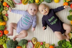 Guide to a Healthy Vegan Diet for Infants: Benefits & Risks Safem Fabrication - Precision Engineering & Custom Manufacturing Solutions Guide to a Healthy Vegan Diet for Infants: Benefits & Risks | Safem Fabrication - Precision Engineering & Custom Manufacturing Solutions