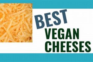 Guide to the Best Vegan Cheese for Melting: Reviews & Tips Safem Fabrication - Precision Engineering & Custom Manufacturing Solutions Guide to the Best Vegan Cheese for Melting: Reviews & Tips | Safem Fabrication - Precision Engineering & Custom Manufacturing Solutions
