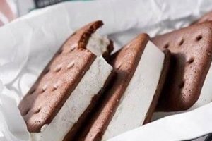 Best Vegan Ice Cream Sandwiches: Cool & Creamy Treat! Safem Fabrication - Precision Engineering & Custom Manufacturing Solutions Best Vegan Ice Cream Sandwiches: Cool & Creamy Treat! | Safem Fabrication - Precision Engineering & Custom Manufacturing Solutions