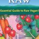 Your Raw Vegan Diet Book Guide: Recipes & Tips | Discover Delicious Vegan Food, Beauty Swaps, and Zero-Waste Tips for a Greener Life