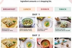 Easy Vegan Meal Plan for Weight Loss (Quick Guide) Safem Fabrication - Precision Engineering & Custom Manufacturing Solutions Easy Vegan Meal Plan for Weight Loss (Quick Guide) | Safem Fabrication - Precision Engineering & Custom Manufacturing Solutions
